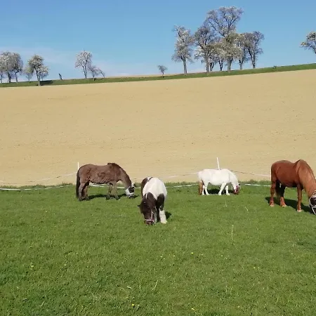 Mayr-eichberg, Familie Berndl Wolfsbach