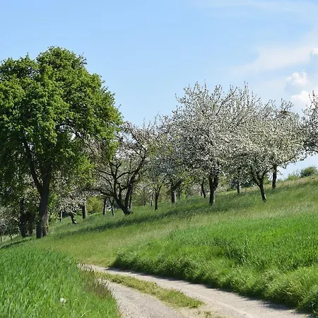 Mayr-eichberg, Familie Berndl Wolfsbach