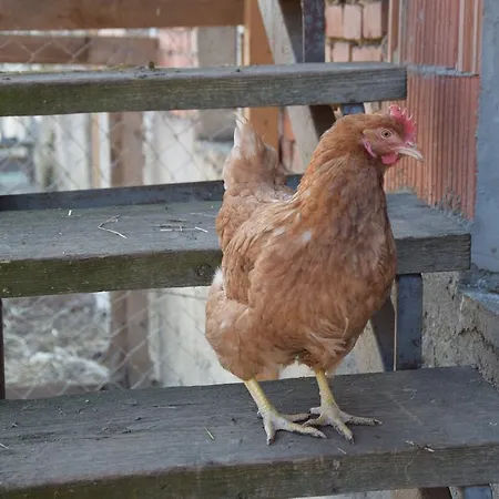 Mayr-eichberg, Familie Berndl *