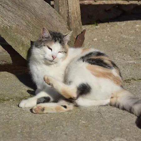 Mayr-eichberg, Familie Berndl