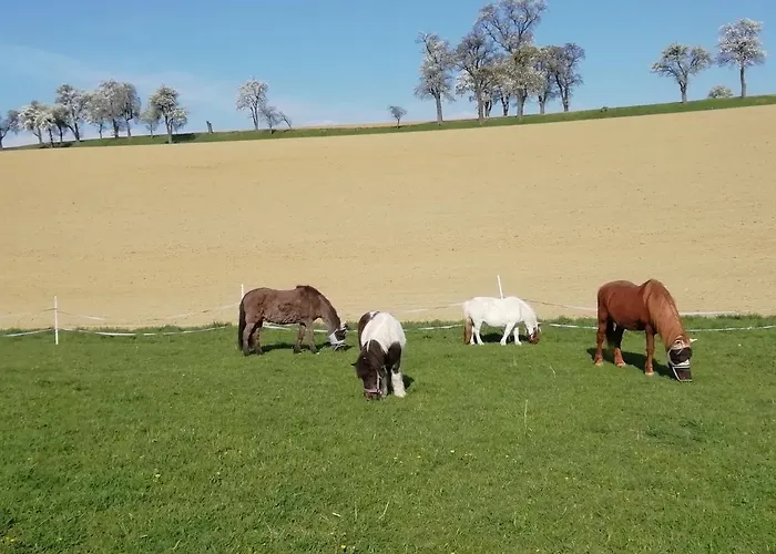 Mayr-eichberg, Familie Berndl Wolfsbach