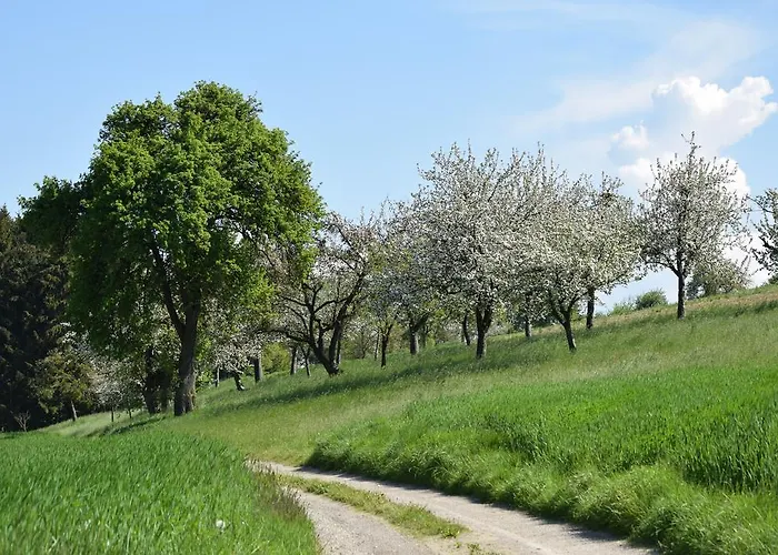 Mayr-eichberg, Familie Berndl Wolfsbach