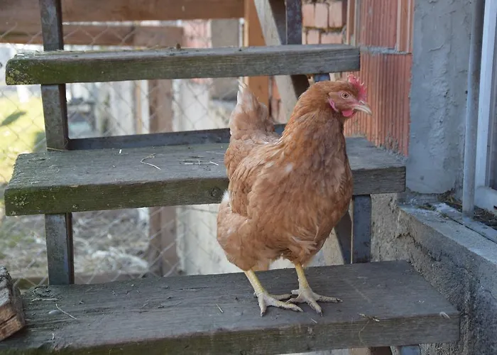 Mayr-eichberg, Familie Berndl *