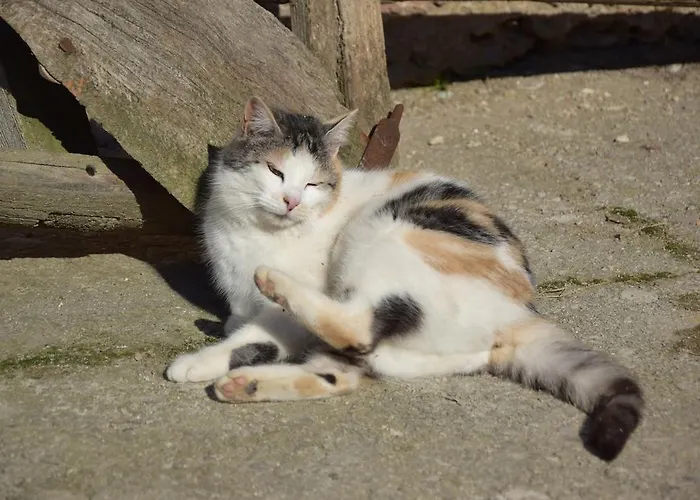 Mayr-eichberg, Familie Berndl